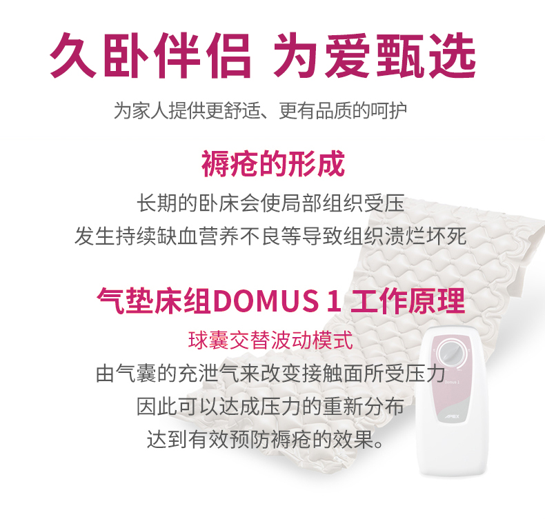 雅博 防褥瘡氣墊 DOMUS 1